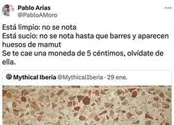 Enlace a Cualidades del suelo de terrazo
