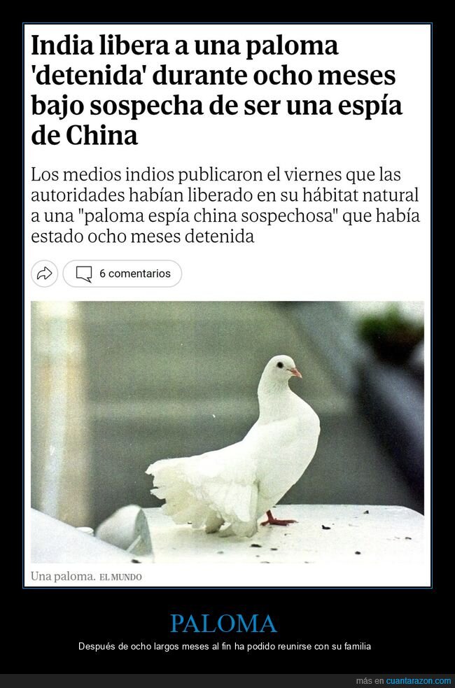 paloma,detenida,india,espía,china