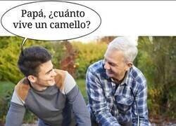 Enlace a Una pregunta sin una respuesta clara