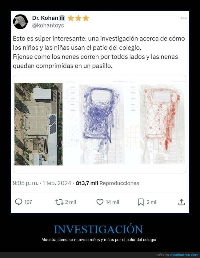 investigación,niños,niñas,patio,colegio