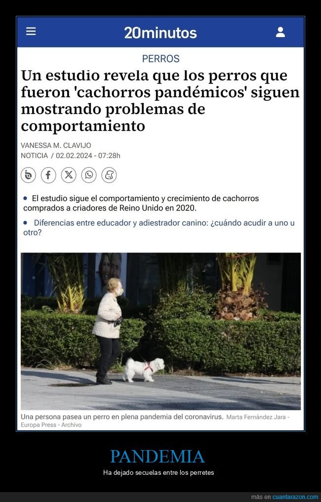 perros,cachorros,pandemia