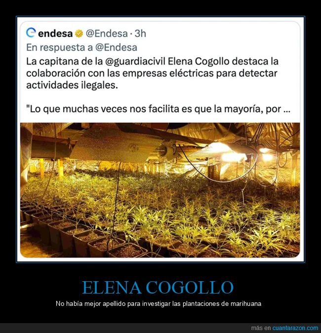 apellido,elena cogollo,guardia civil,maría,plantaciones