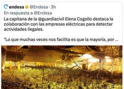 Enlace a Nacida para el puesto