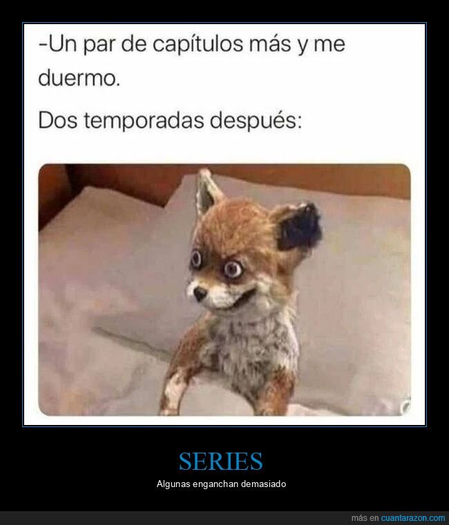 capítulos,dormir,serie,temporadas,zorro disecado