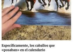 Enlace a Esta mujer se compró un calendario con fotos de caballos, pero resultó ser demasiado extraño