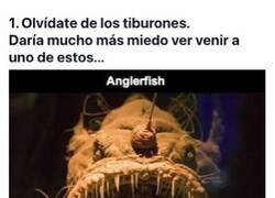 Enlace a Las criaturas abisales más terroríficas de la fosa de las Marianas