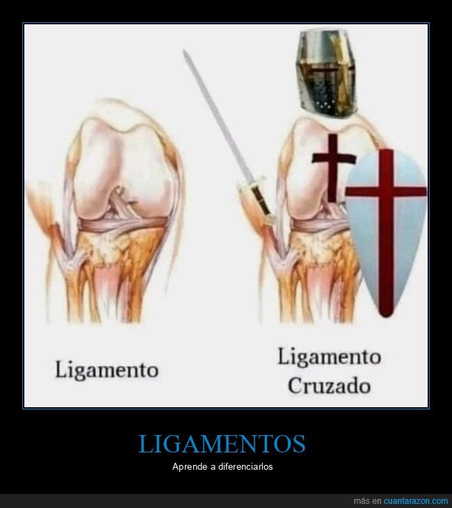 cruzado,ligamento