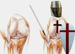 Enlace a Ligamento VS Ligamento cruzado