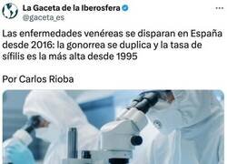 Enlace a Cada vez más casos de venéreas