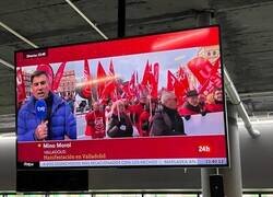 Enlace a Un nombre muy apropiado