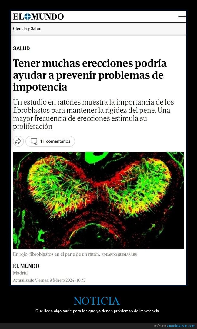 impotencia,prevenir
