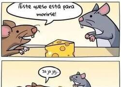 Enlace a El humor es lo último que se pierde