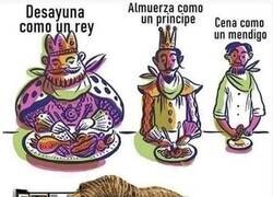 Enlace a Consejo de alimentación