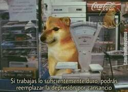 Enlace a La recompensa por el esfuerzo