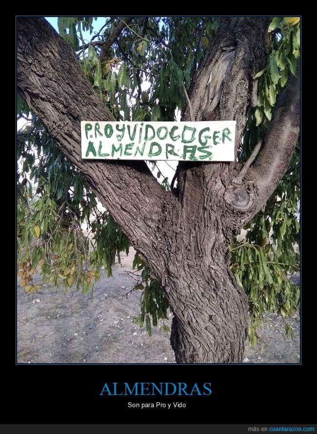 almendras,carteles,ortografía