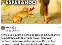 Enlace a No existe un perro más leal que Hachiko, excepto Argos