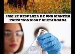 Enlace a Se cumplen 10 años del meme de 