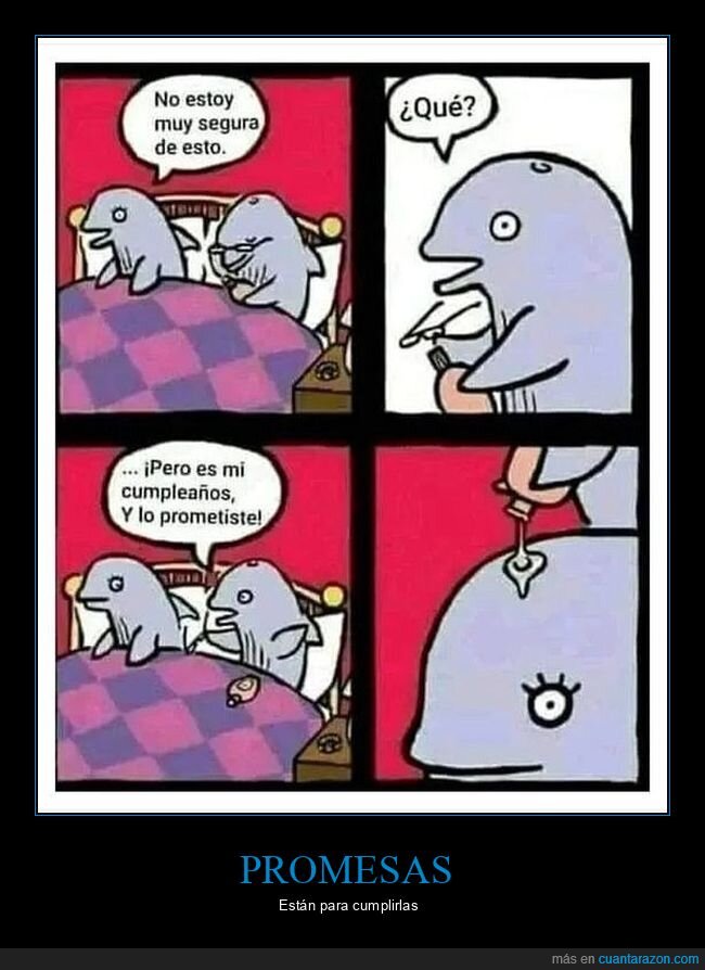 agujero,aportes,cumpleaños,delfines