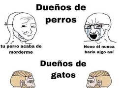 Enlace a Dueños de perros VS Dueños de gatos