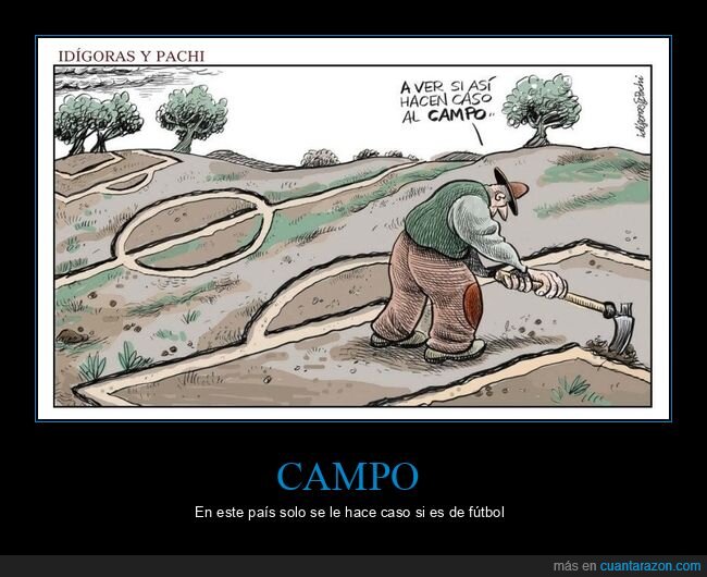 campo,fútbol,caso