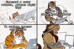 Enlace a Cuando los consejos vienen de gente que no te conoce