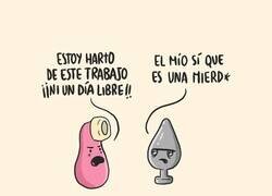 Enlace a El trabajo de los juguetes íntimos