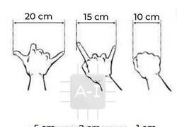Enlace a Cómo medir cuando no tienes una regla a mano