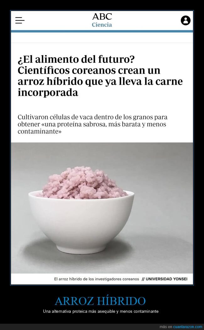 arroz,híbrido,carne