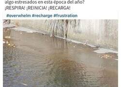 Enlace a Publicaciones muy ridículas y nada inspiradoras encontradas en LinkedIn