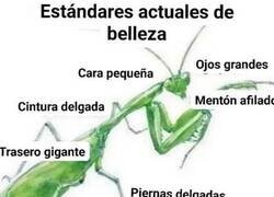 Enlace a La más deseada