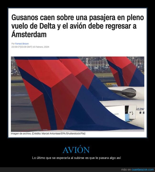 avión,gusanos