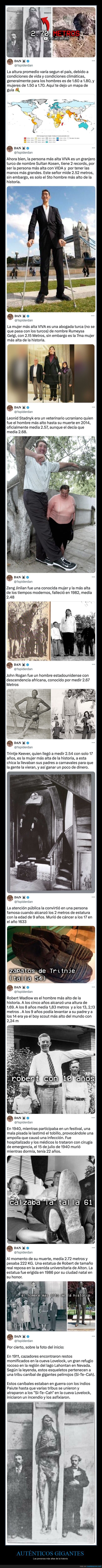 gigantes,altos,estatura