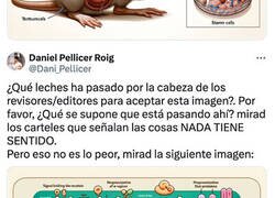Enlace a Publican un estudio revisado por pares con imágenes por IA de una rata con genitales gigantes y texto sin sentido