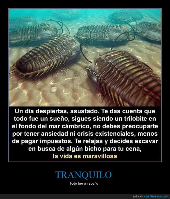 sueño,trilobite