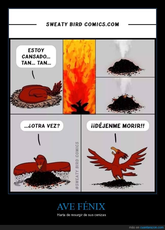 ave fénix,cenizas,morir