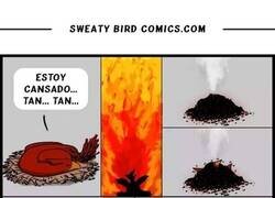 Enlace a El drama del ave fénix