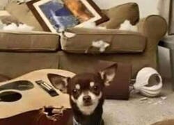 Enlace a Toca cambiar el anuncio...