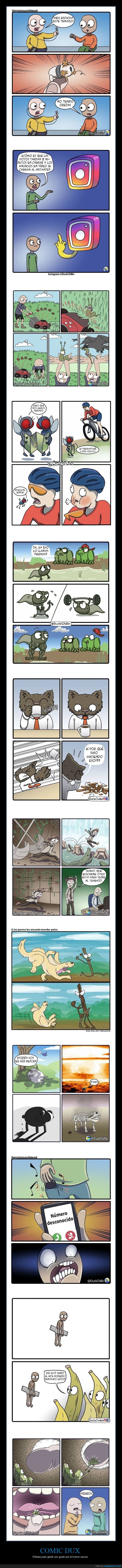 comic dux,viñetas