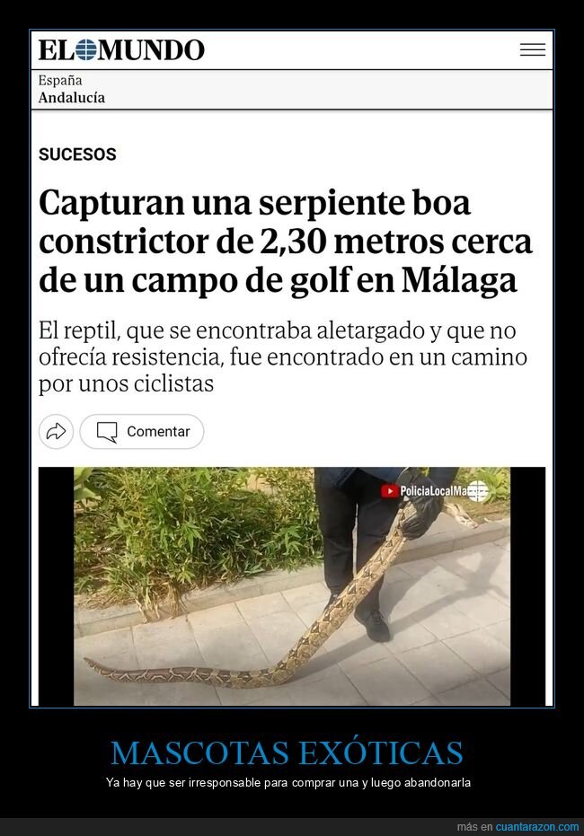 serpiente,campo de golf