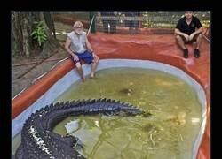Enlace a El cocodrilo más grande y longevo en cautividad