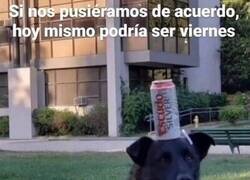 Enlace a Nuestro gran problema es la falta de organización