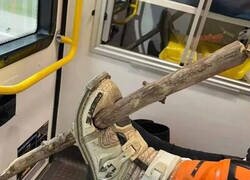 Enlace a Parece algo incómodo...