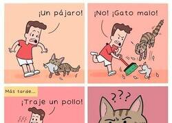 Enlace a Incomprensible para un gato