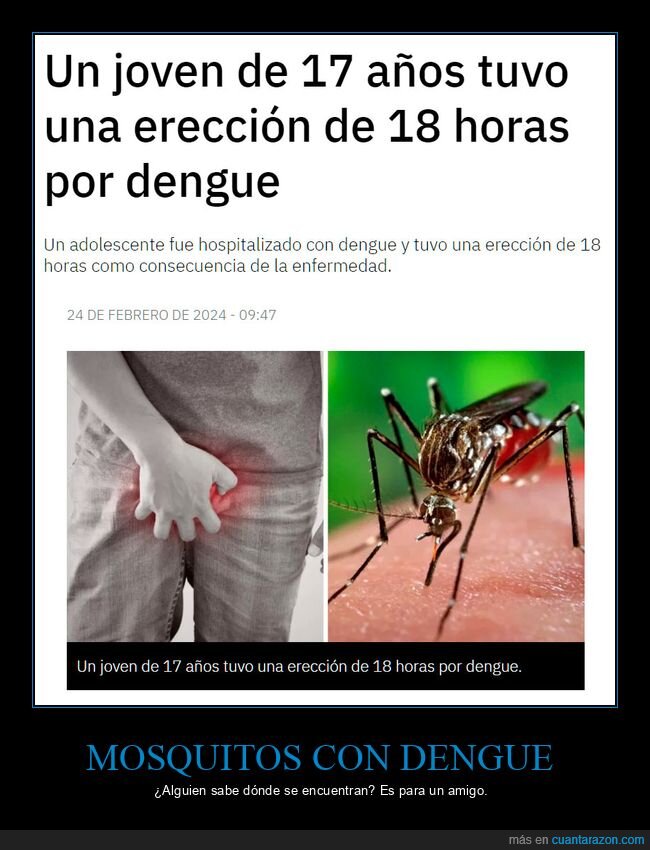 dengue,wtf