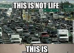 Enlace a Esto no es vida...