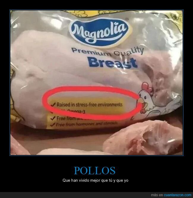 criarse,estrés,pollos