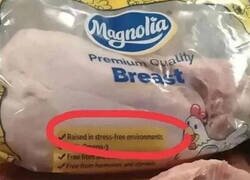 Enlace a Pollos criados en ambientes libres de estrés