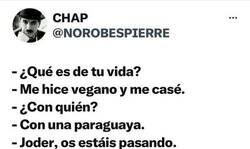 Enlace a Vegano al 100%