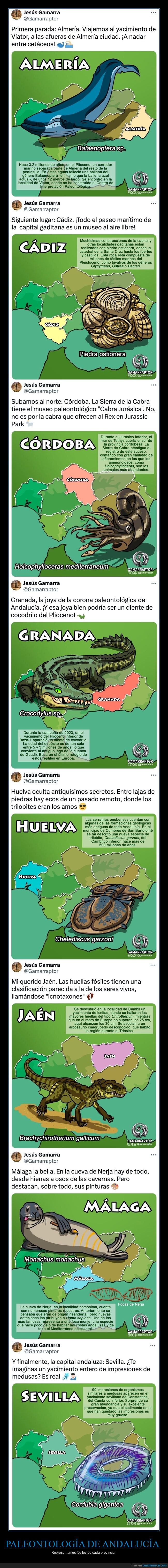 paleontología,andalucía,fósiles