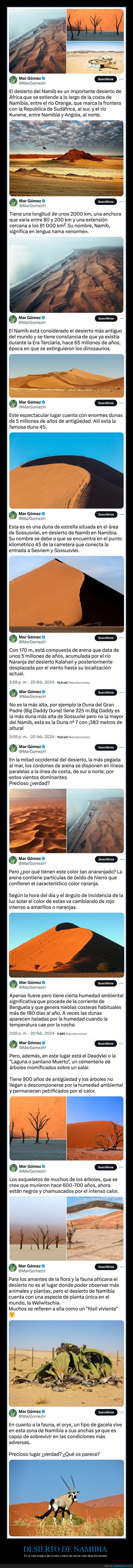 desierto de namibia,curiosidades